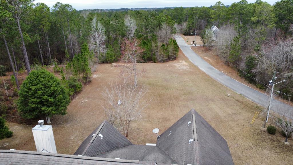Birds Eye view of back of property 